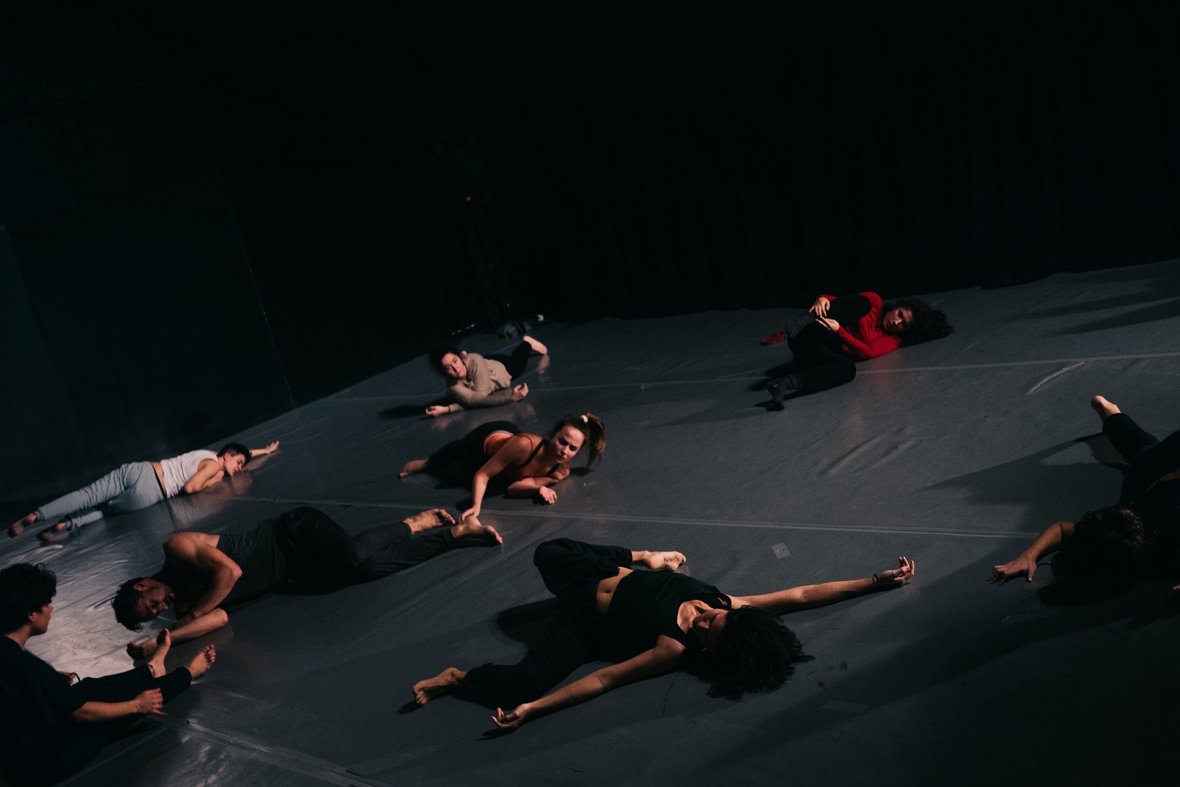 Applying is open for PED – Dance Study Project